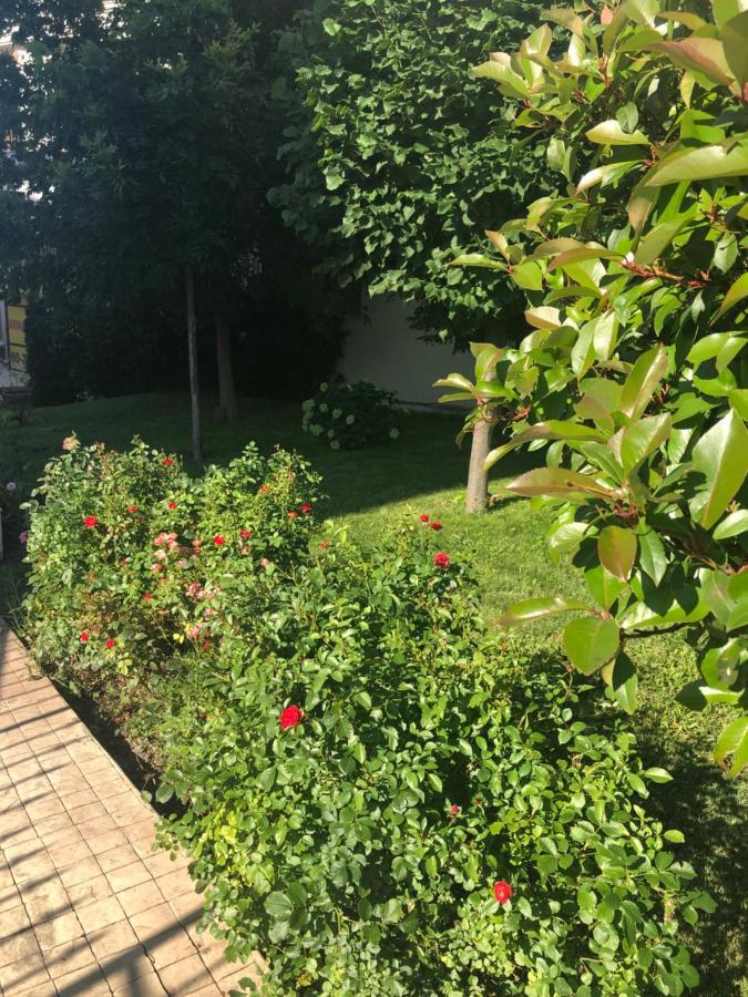Вила Калабрия Sveti Vlas Dış mekan fotoğraf